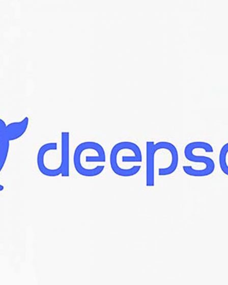 DeepSeek Logo: It is a whale with the words DeepSeek next to it.